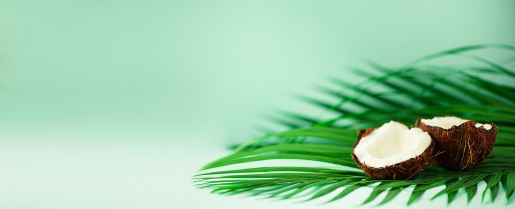 coconut-tropical-green-palm-leaves